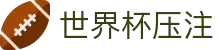 世界杯压注.(中国)官方网站